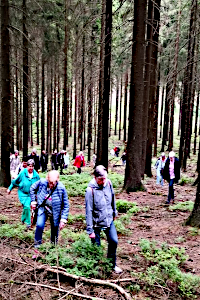 Bild der Fit ab 40 Gruppe bei der Wanderung durch einen Wald
