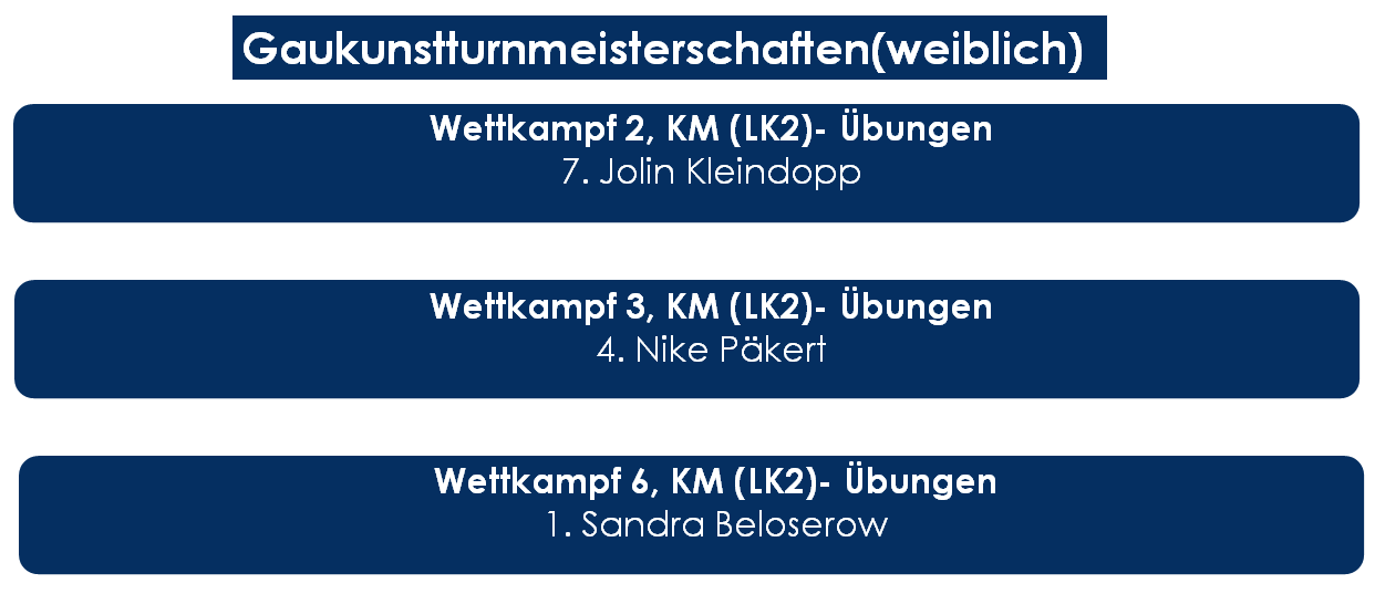Ergebnis Gaukunstturnmeisterschaften 2024 Ergebnis Gaukunstturnmeisterschaften 2024